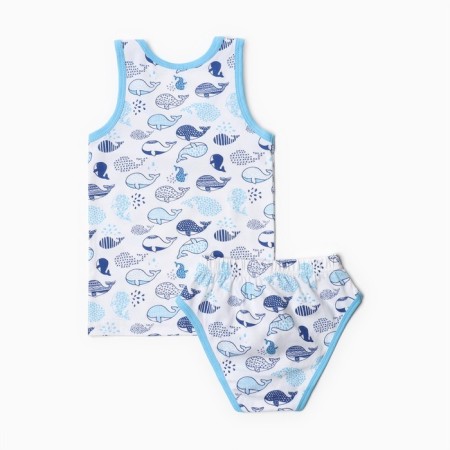 A set for a boy (T -shirt, panties), blue color, height 116 cm-3