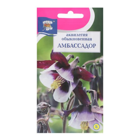 Flowers Aquilegia "Ambassador", 0.05 g