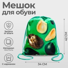 A bag for shoes with a pocket of 420 x 340 mm, calligrata MSO-7C, (soft polyester, density 210D), 