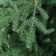 Artificial premium Karpatskaya spruce 2.1 m (metal stand)