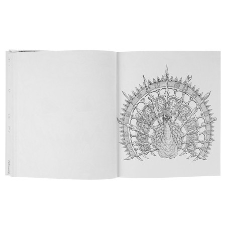 “Fantomorphoses. Extreme coloring pages ”, Rosanes K.-6
