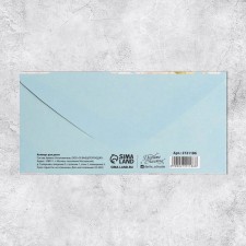 A set of envelopes for money 