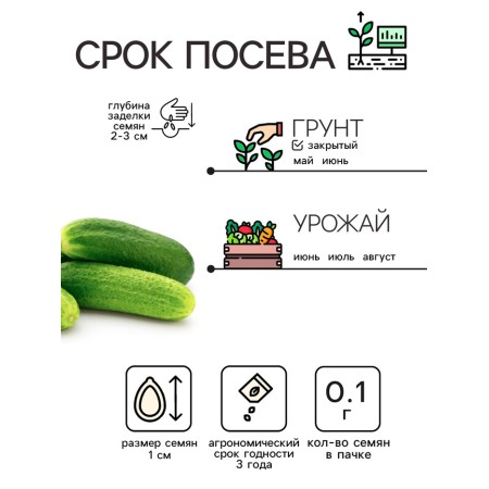 Семена Огурец "Либелле", 0,1 г-1