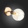 Wall lamp EVOLUCE. Sle155301-01. Gentore. 1x60 W, E14, 13x14.5 cm, Antique copper color