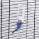 Drill for rodents, 80 ml, fastening-spring, and two interchangeable filters, blue