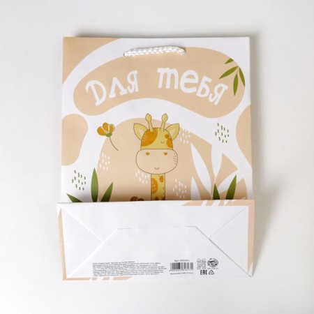 Gift package laminated, packaging, “Congratulations to you”, MS 18 x 23 x 8 cm-4