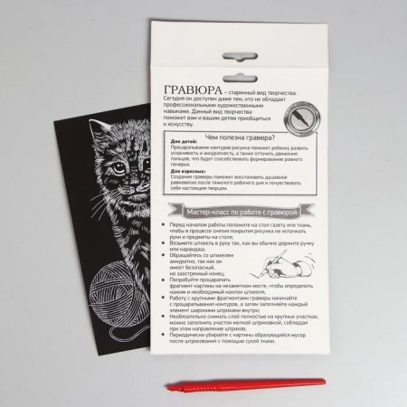 Engraving "cat" with a metallic effect "silver" A5-4