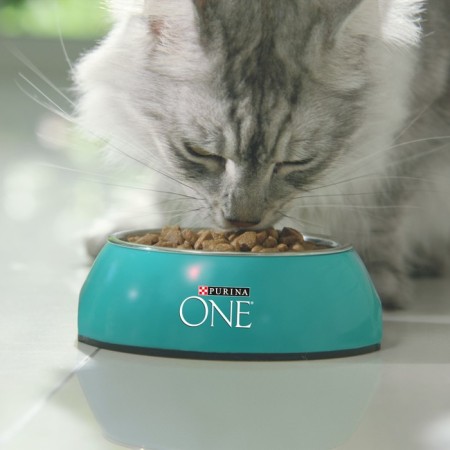 Dry food One for home cats, turkey with whole cereals 200 g-8