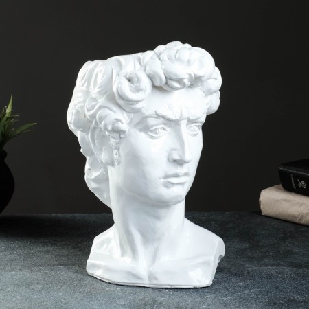 Kashpo - Organizer "David's head" Belaya, 19x27x17cm-1