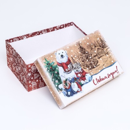 Rectangular box "Bear", 27 × 17 × 11 cm-3
