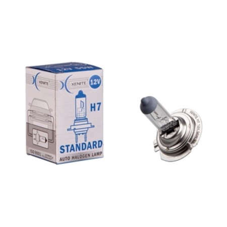 Car lamp Xenite Standart H7 (PX26D)-1