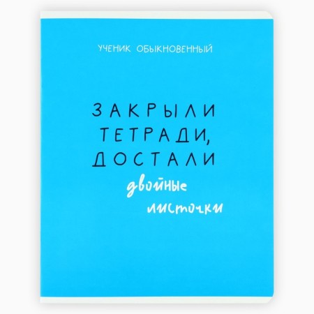 A notebook in a cage, 48 sheets A5 on a paper clip 5 pcs., Inner block No. 2 MIX “September 1: typical student” Twin Lac, UV lacquer-5