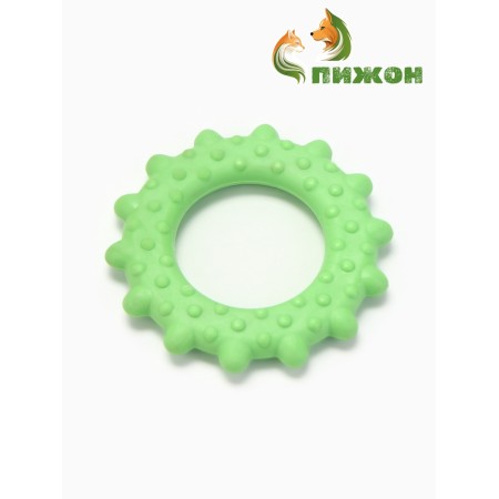 Chewing toy "Ring with spikes", tpr, 8.5 cm, green