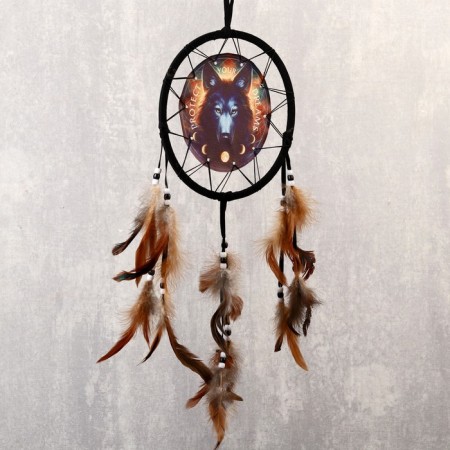 Dreams "Wolf. Protect your dreams" d = 20 cm-1