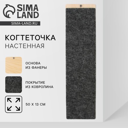 Wall -mounted clawe, 50 x 13 cm, gray