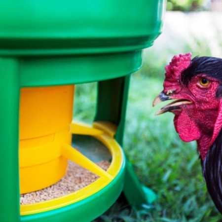 Bunker feeder for poultry for 28 kg, on legs, plastic, kubic premium-4