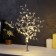 LED bush "Lessons" 35 × 26 × 3 cm, 10 LED, constant glow, from batteries CR2032x2 (complete), glow of warm white