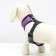 Slut is soft from neoprene, size XL, Osh 42 cm, OG 38-50 cm, purple
