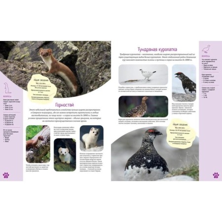 Encyclopedia. The colorful world of animals-4