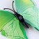 Set for decorating "Butterflies", 12 pcs, Mix colors