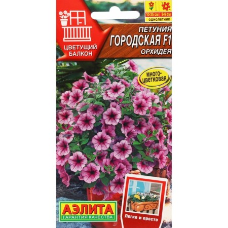 Petunia flowers "City", F1, orchid, dragee in a test tube, 7 pcs
