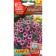 Petunia flowers "City", F1, orchid, dragee in a test tube, 7 pcs