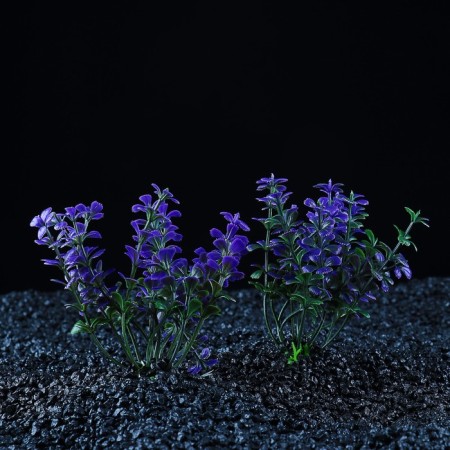 Set of artificial plants for aquarium (2 pcs), 10 cm