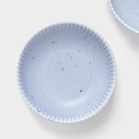 The plates of the deep shares "Coral", d = 18.2 cm, set 2 pcs, porcelain, blue-2