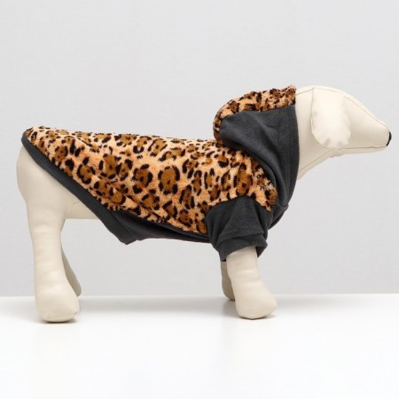 Sweatshop with a hood "Leopard", size S (DS 23, Osh 26, Osh 32 cm)-2