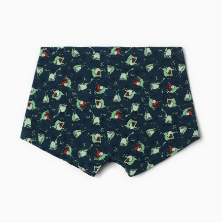 Panties men's boxers "toads", blue color, size 48 (m)-7