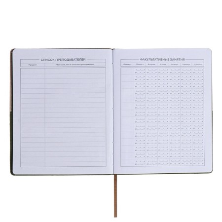 School diary for grades 1-11, 50/50 %, solid cover with foam rubber, artificial leather, silkography, lies, universal cheat sheet, 48 sheets, block 80g/m2-5