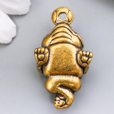 Souvenir brass "Cash toad with coin" 1.9x3.4 cm-3