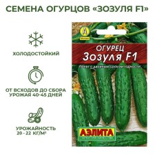 Seeds of the cucumber 