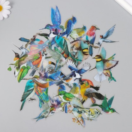 Stickers for creativity PLC PVC "Colorful birds" set 40 pcs 9x10.5 cm-1