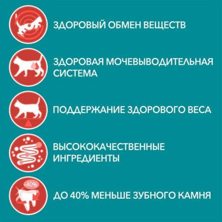 Dry food Purin One for sterilized cats, beef/wheat, 3 kg-3