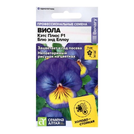Flowers of Viola Cats Plus F1 Blue End Ello, C/P, 4 pcs.