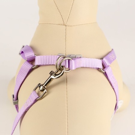 A set of ammunition with a soft harness, s, leash 120 x 1 cm, Osh 20-35 cm, og 20-35 cm, lilac 71490-3