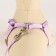 A set of ammunition with a soft harness, s, leash 120 x 1 cm, Osh 20-35 cm, og 20-35 cm, lilac 71490