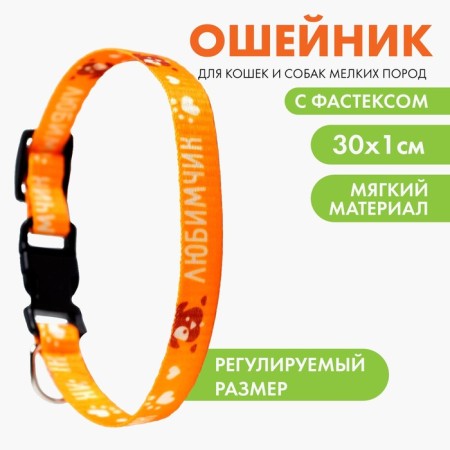 A collar for dogs with Fasteks "Favorite", 30 x 1 cm