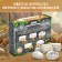 Set for excavations "era of dinosaurs"