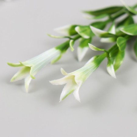 Artificial plant for creativity "Hippeastium" set of 6 pcs white-green 11.5 cm-4