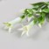 Artificial plant for creativity "Hippeastium" set of 6 pcs white-green 11.5 cm