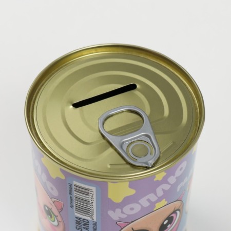 Pigging bank Metal "Sweet Piggy Code"-4