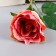 Artificial flowers "tea extract" d-7 cm 44 cm, yellow-pink