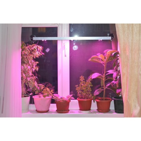 Window LED lamp for plants "Vasat" 30W 80cm-2