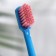 Medica toothbrush of medium stiffness, biodegradable, blue + green, 2 pcs.