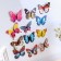 Magnet Plastic "Butterfly shines in the dark" 10 cm mix