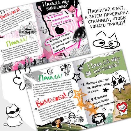 The book “Truth or Lies. 24 facts about Japan ", A5, anime-2