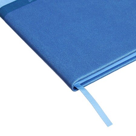 Universal Diary Grade 1-11, 48 sheets "Blue", a solid cover made of artificial leather, pancake embossing, Lasasse-2