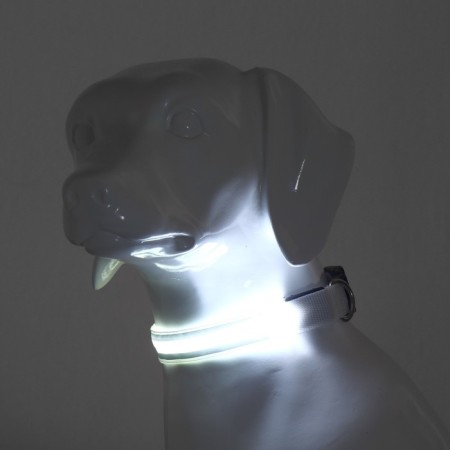 Collar with backlighting double strip size l, Osh 45-52 x 2.5 cm, 3 glow modes white-1